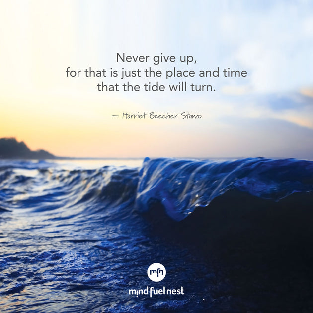 NEVER GIVE UP – Vera Viva